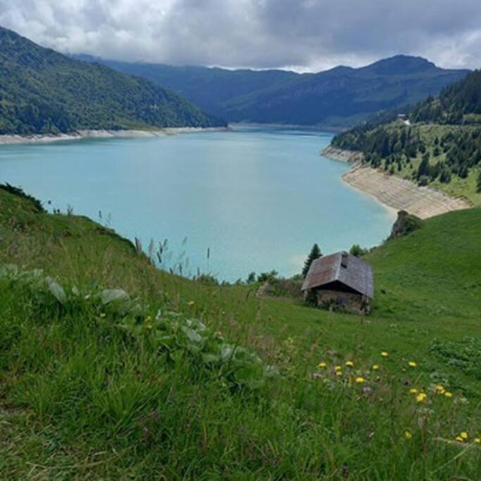 L'Appartement Les Bossons En Lisiere De Foret Dans Le Chalet Genepi Arêches Εξωτερικό φωτογραφία