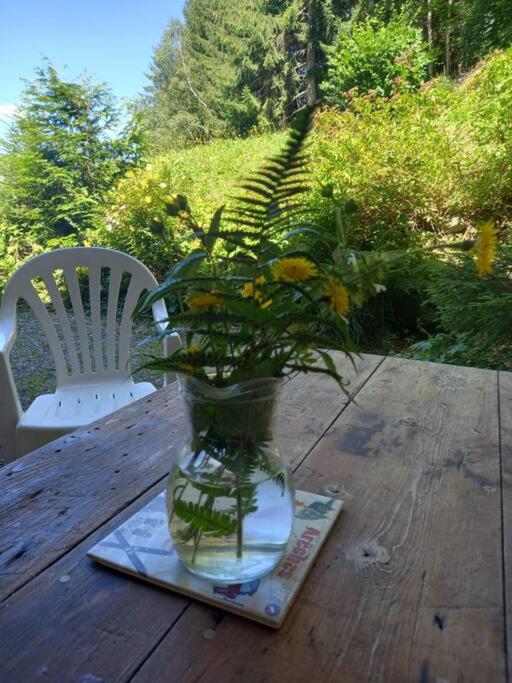 L'Appartement Les Bossons En Lisiere De Foret Dans Le Chalet Genepi Arêches Εξωτερικό φωτογραφία